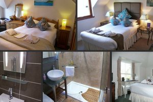 Room & Suite