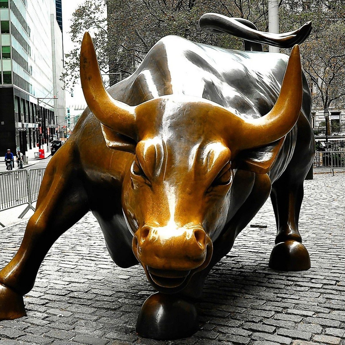 Charging Bull (Wall Street Bull) (New York City) - All You Need to ...