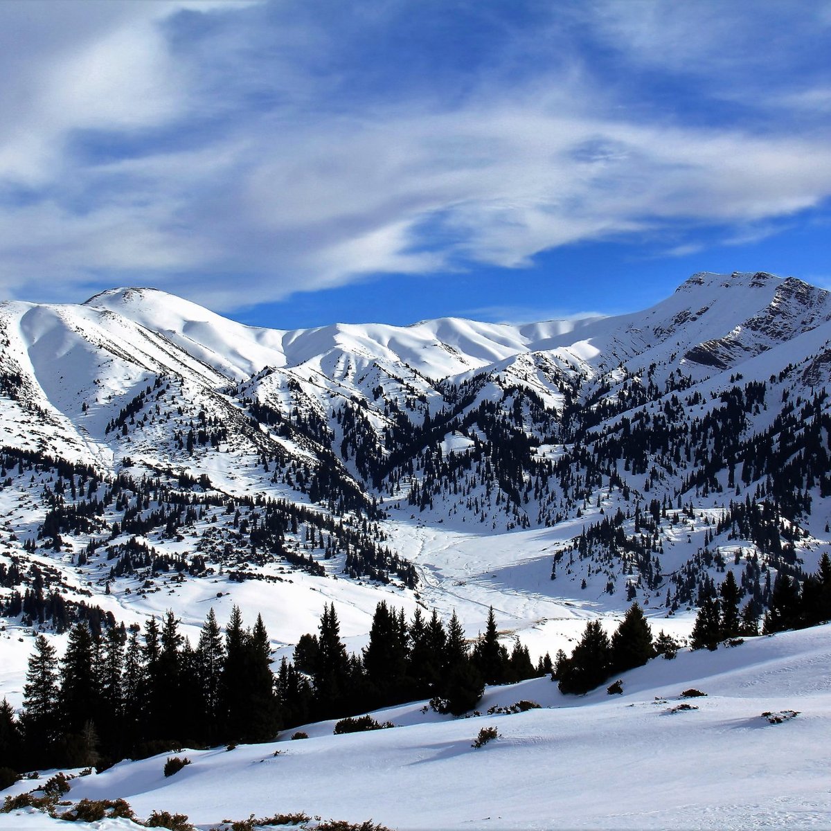 Каракол. Каракол горы. Каракол горы зима. Jyrgalan Valley. Каракол Америка.