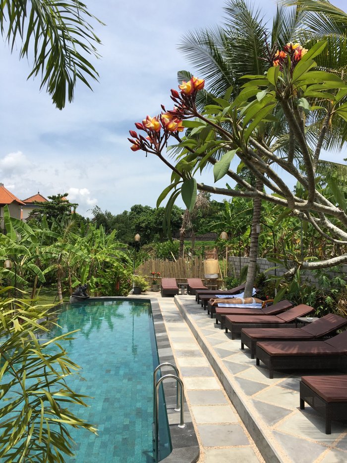 Bucu Guest House Pool: Pictures & Reviews - Tripadvisor