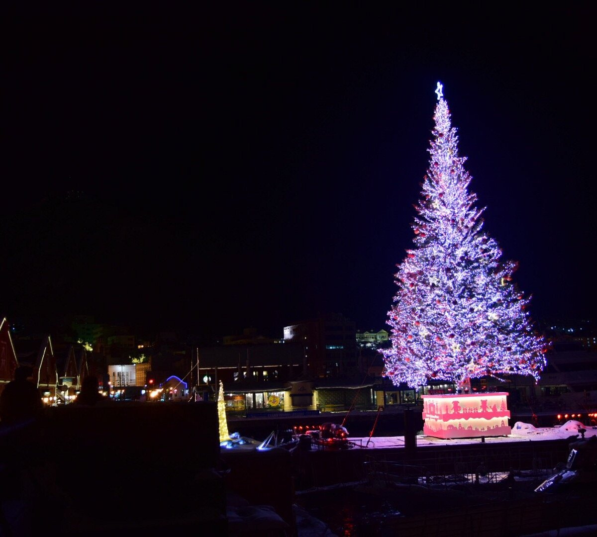 函館 日本 Hakodate Christmas Fantasy 旅遊景點評論 Tripadvisor