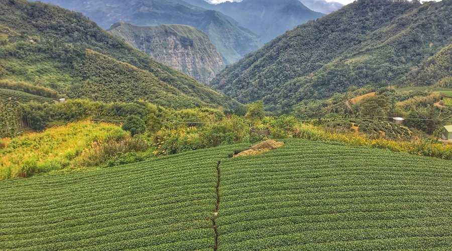 APPLAUSE IN THE MOUNTAIN - Updated 2025 Prices & B&B Reviews (Alishan, Chiayi County) APPLAUSE IN THE MOUNTAIN - Updated 2025... 
