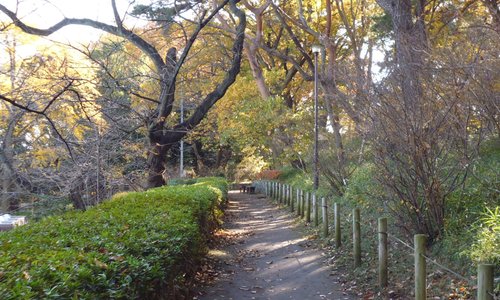 多摩川台公園の遊歩道