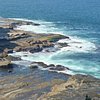 Things To Do in Bouddi National Park, Restaurants in Bouddi National Park