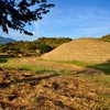 Things To Do in Guachimontones Archaeological Tour, Restaurants in Guachimontones Archaeological Tour