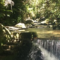 walkway through the stream