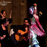 Palau Dalmases - Flamenco show / Espectáculo flamenco