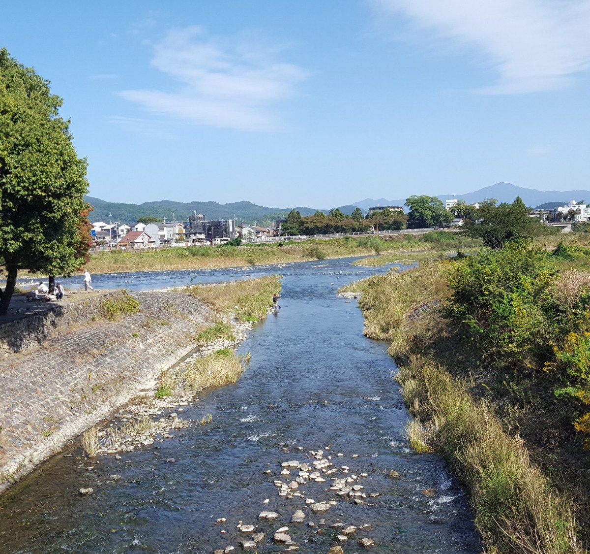 22年 レンタサイクル京都 Ecoトリップ 本店 行く前に 見どころをチェック トリップアドバイザー