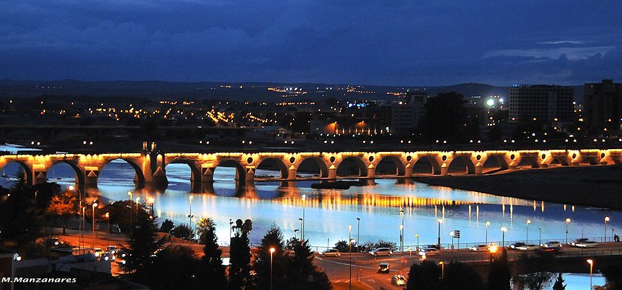Puente de Palmas image