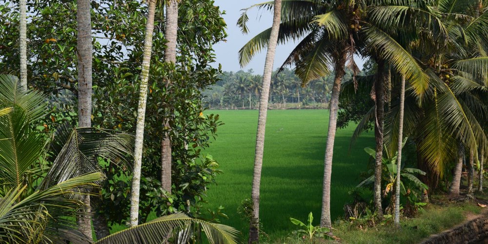 Changanacherry, Indien: Tourismus in Changanacherry - Tripadvisor