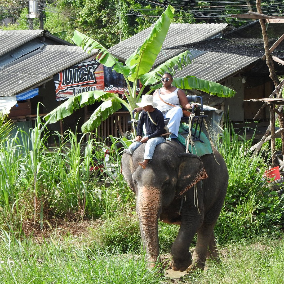 phuchada safari