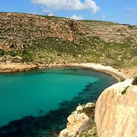 Cala pulcino d'inverno
