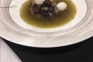 Cibo