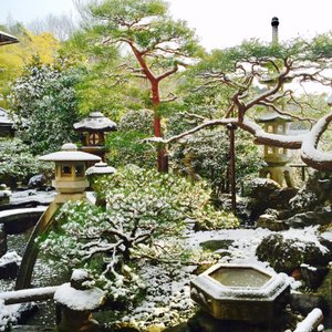 雪化粧３