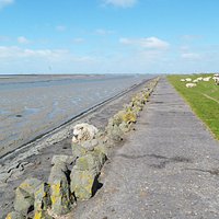 Husum, Uferweg zum Steindeich bei Ebbe - 06.2016