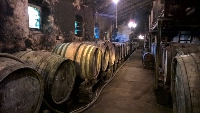 Imagen 1 de Mas Molla - Traditional Winery