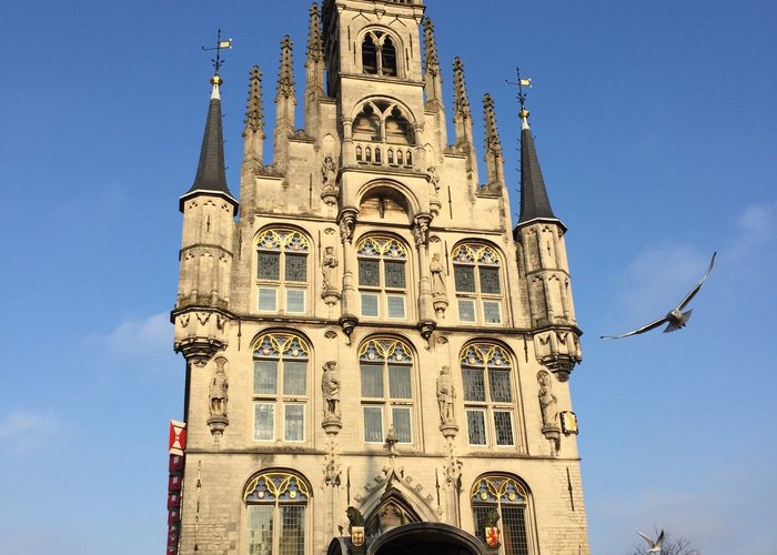 Gouda