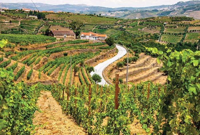 Douro Valley 
