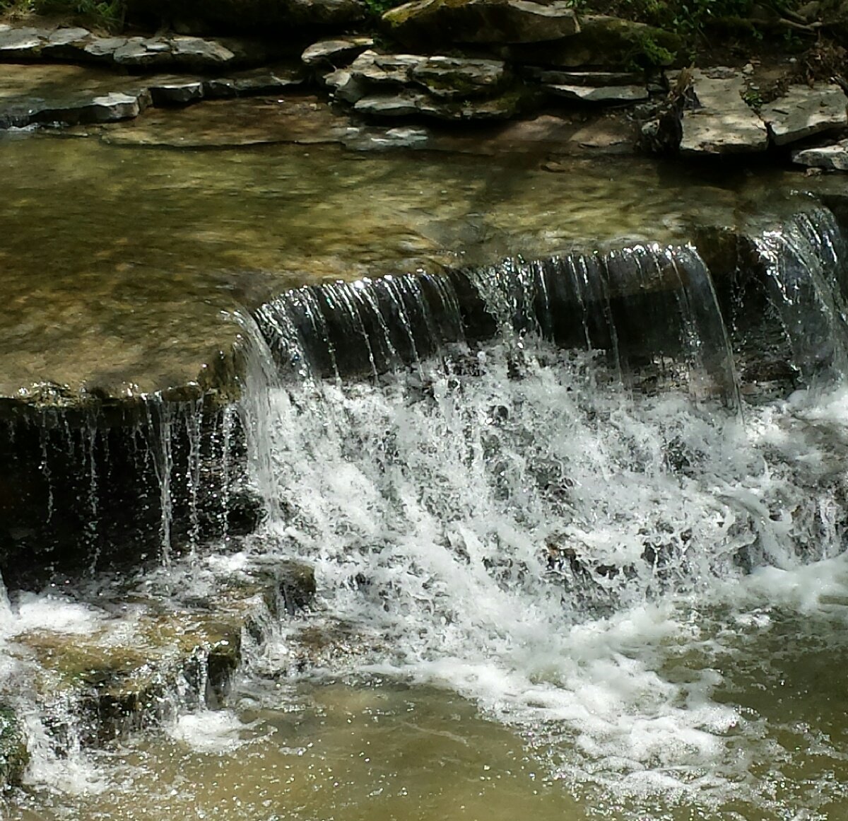 Cincinnati Nature Center, Blog