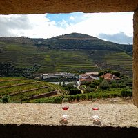 Exceptional wines with an amazing view over the Douro Valley