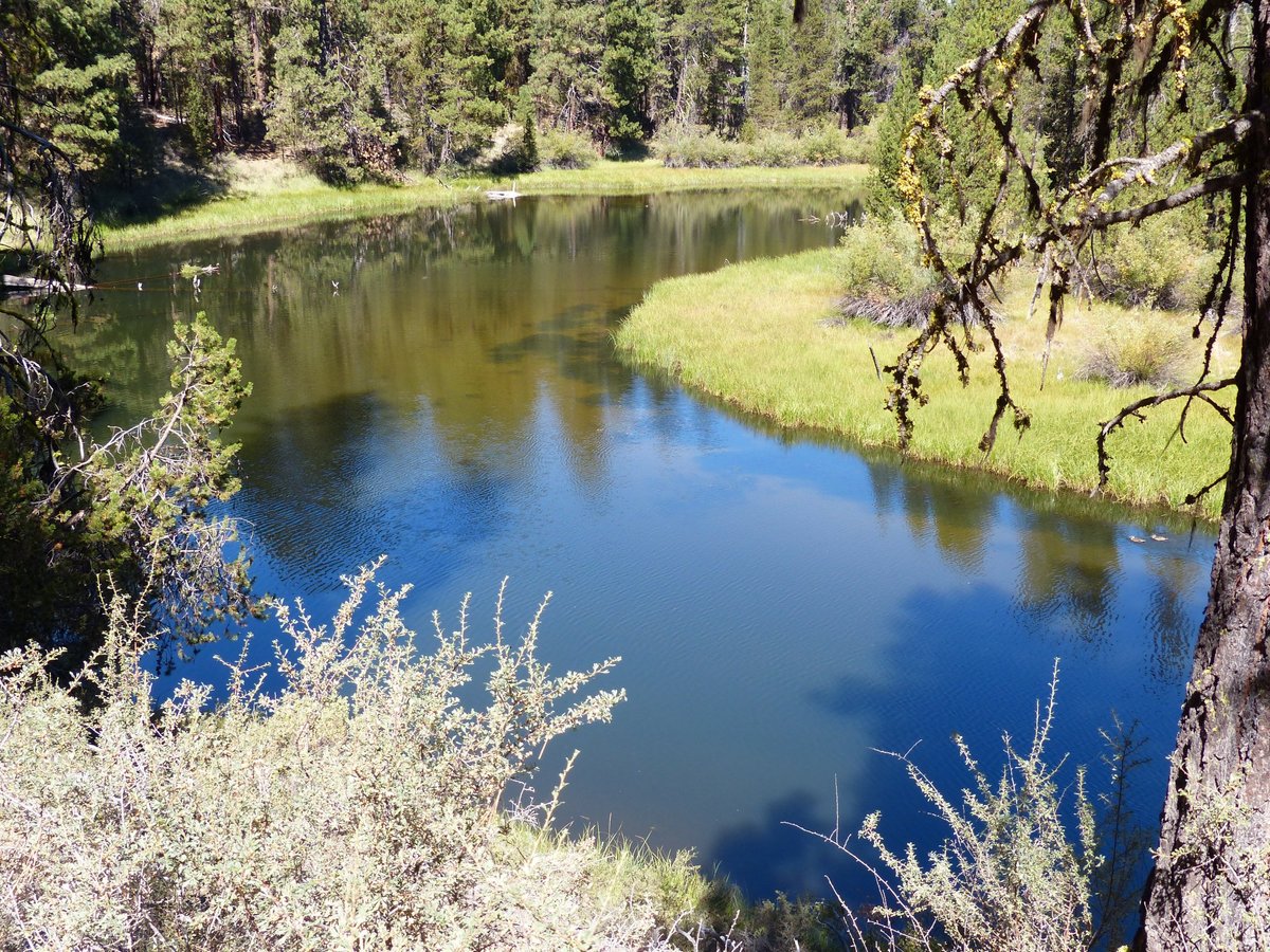 La Pine State Park: All You Need to Know BEFORE You Go