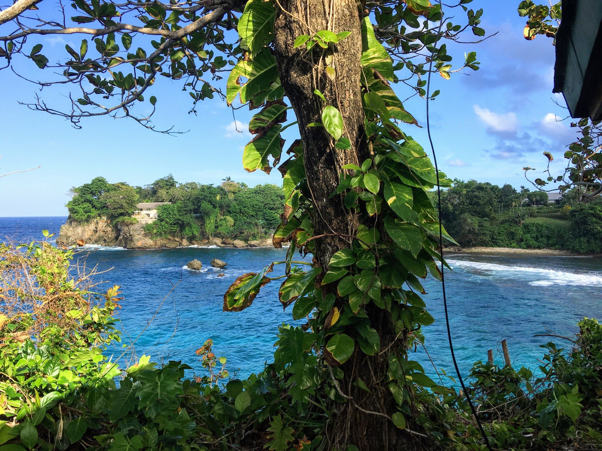 THE 15 BEST Things To Do In Port Antonio - 2023 (with Photos) - Tripadvisor