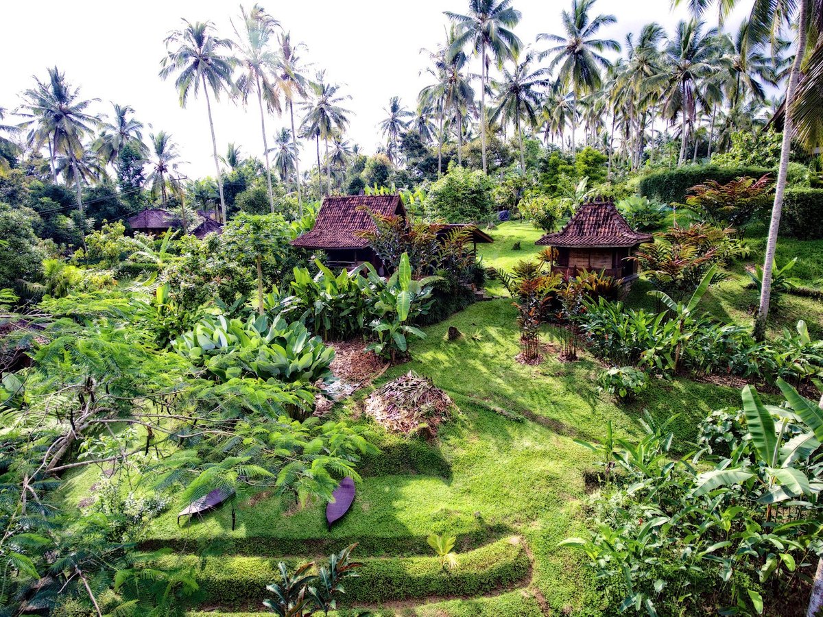 Bali Eco Stay Bungalows – Wandern: Fotos und Bewertungen - Tripadvisor