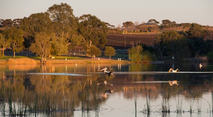 Kingston-on-Murray Caravan Park Kitchenettes: Pictures & Reviews ...