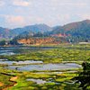 Things To Do in Imphal Valley, Restaurants in Imphal Valley