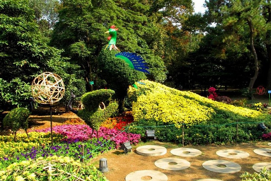 Hangzhou Botanical Garden image