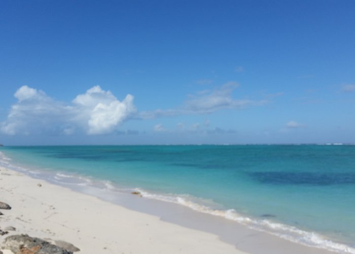 Whitby, Turks and Caicos 2023: Best Places to Visit - Tripadvisor