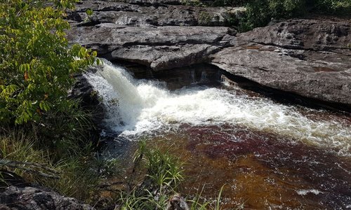 Caño Cristales