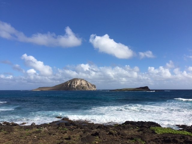 Mokapu Point Oahu All You Need To Know Before You Go