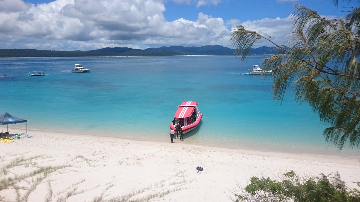 Hamilton Island Reef Ryder Tour - All You Need to Know BEFORE You Go (2024)