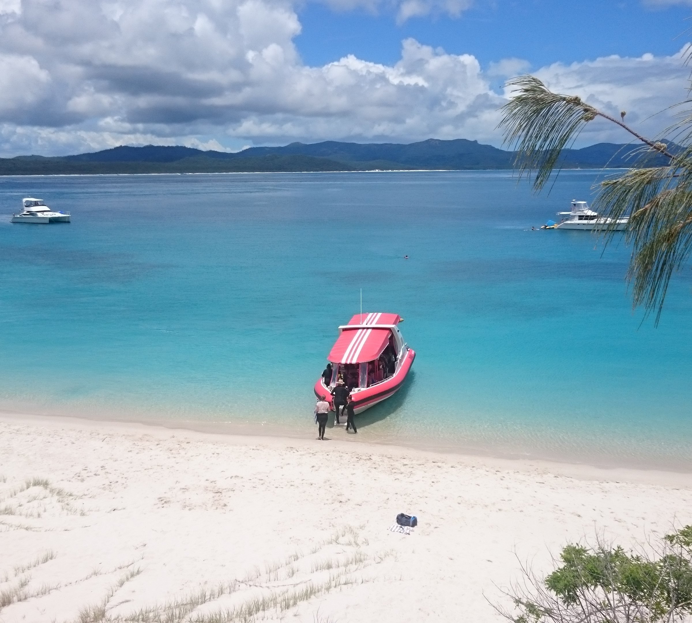 Hamilton Island Reef Ryder Tour - All You Need to Know BEFORE You Go (2024)