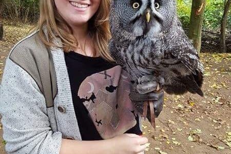 Kent Owl Academy