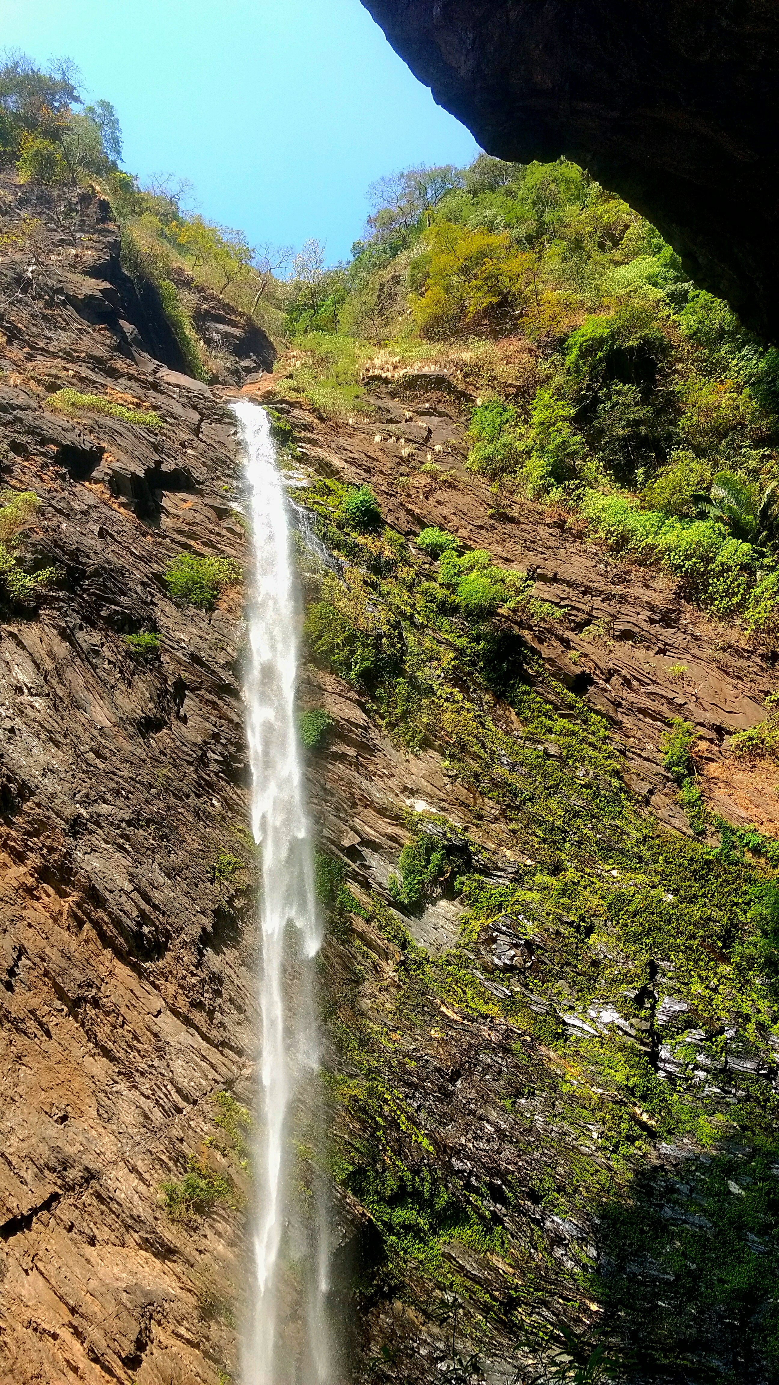 Agumbe - Wikipedia