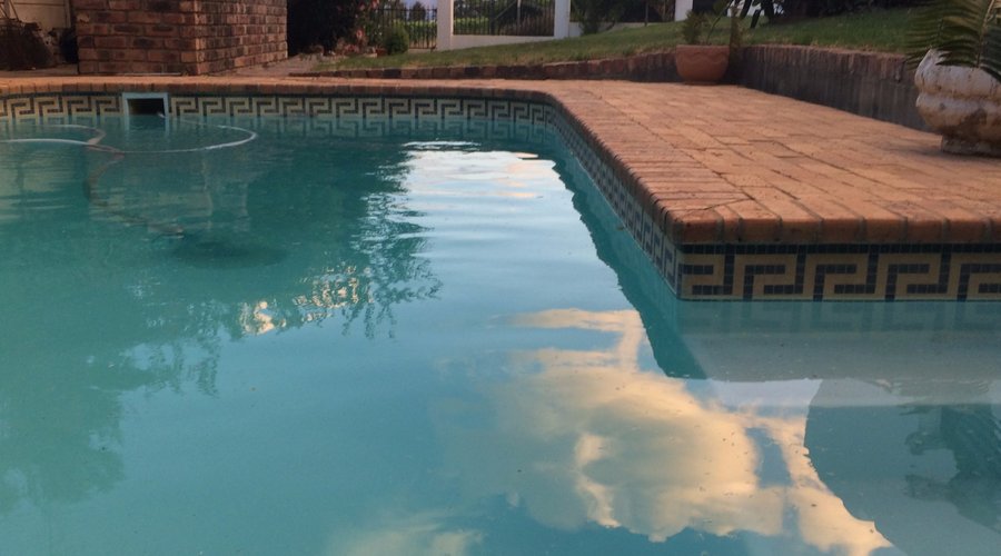 Early evening at the pool.
