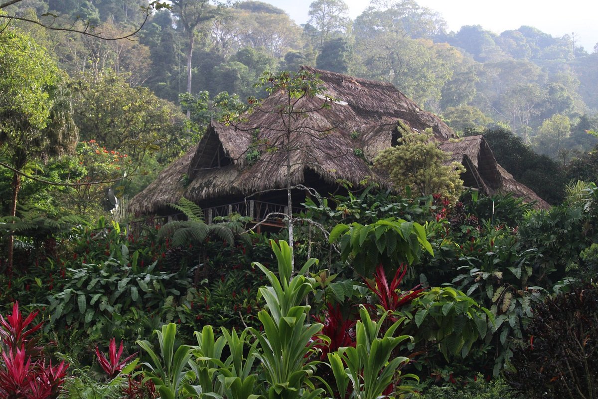 rafiki safari lodge costa rica reviews