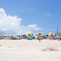 sunshades to rent