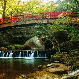 愛知県の公園 自然 ベスト10 トリップアドバイザー