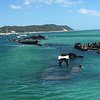 What to do and see in Moreton Island, Queensland: The Best Things to do Good for Kids