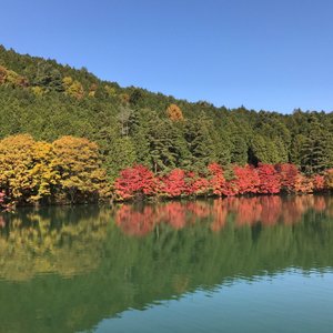 21年 南伊奈ヶ湖 行く前に 見どころをチェック トリップアドバイザー