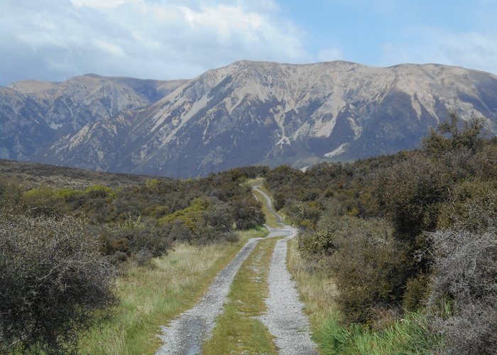 Road away to the mountains