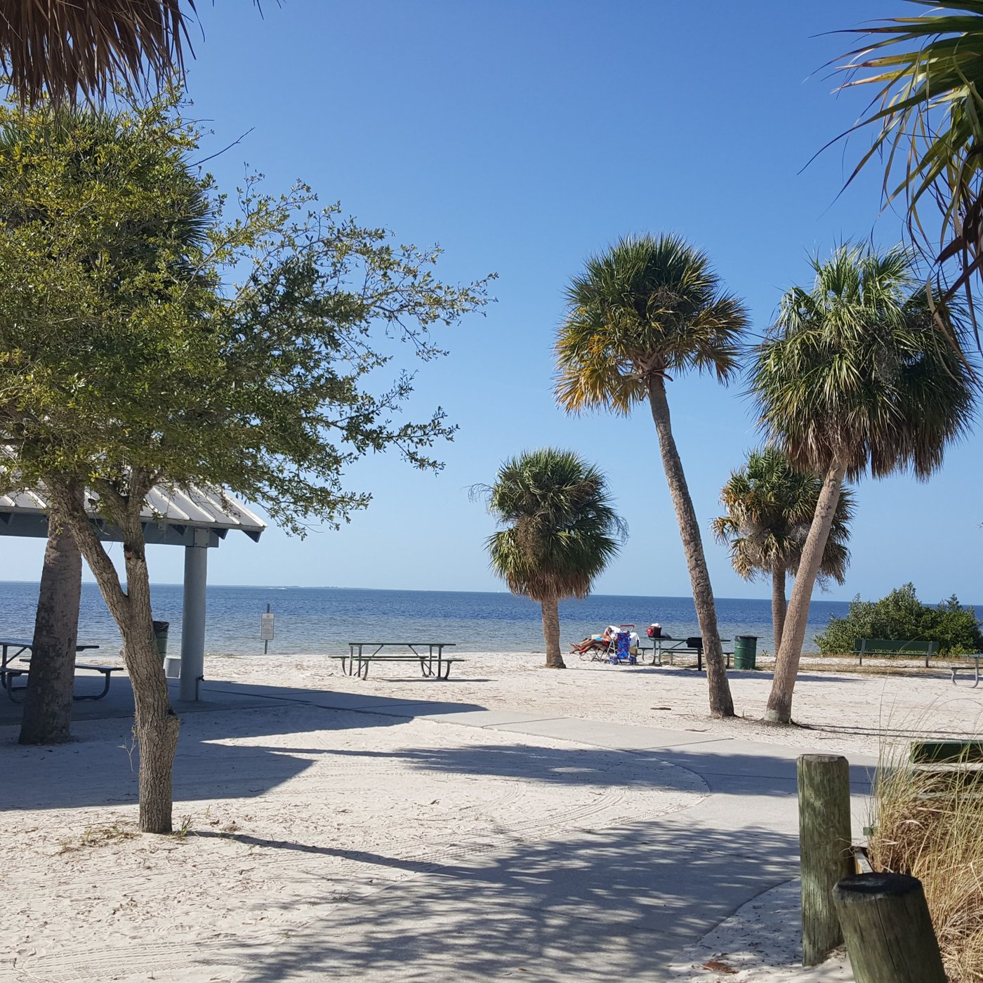 New Port Richey, FL: All You Must Know Before You Go (2025 