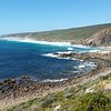 Things To Do in Cape Naturaliste Walking Trails, Restaurants in Cape Naturaliste Walking Trails