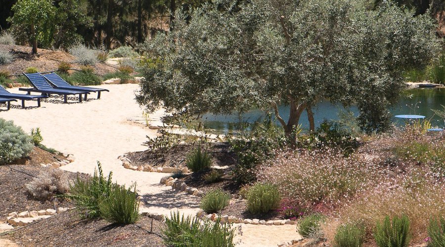 View over natural swimming pool and gardens
