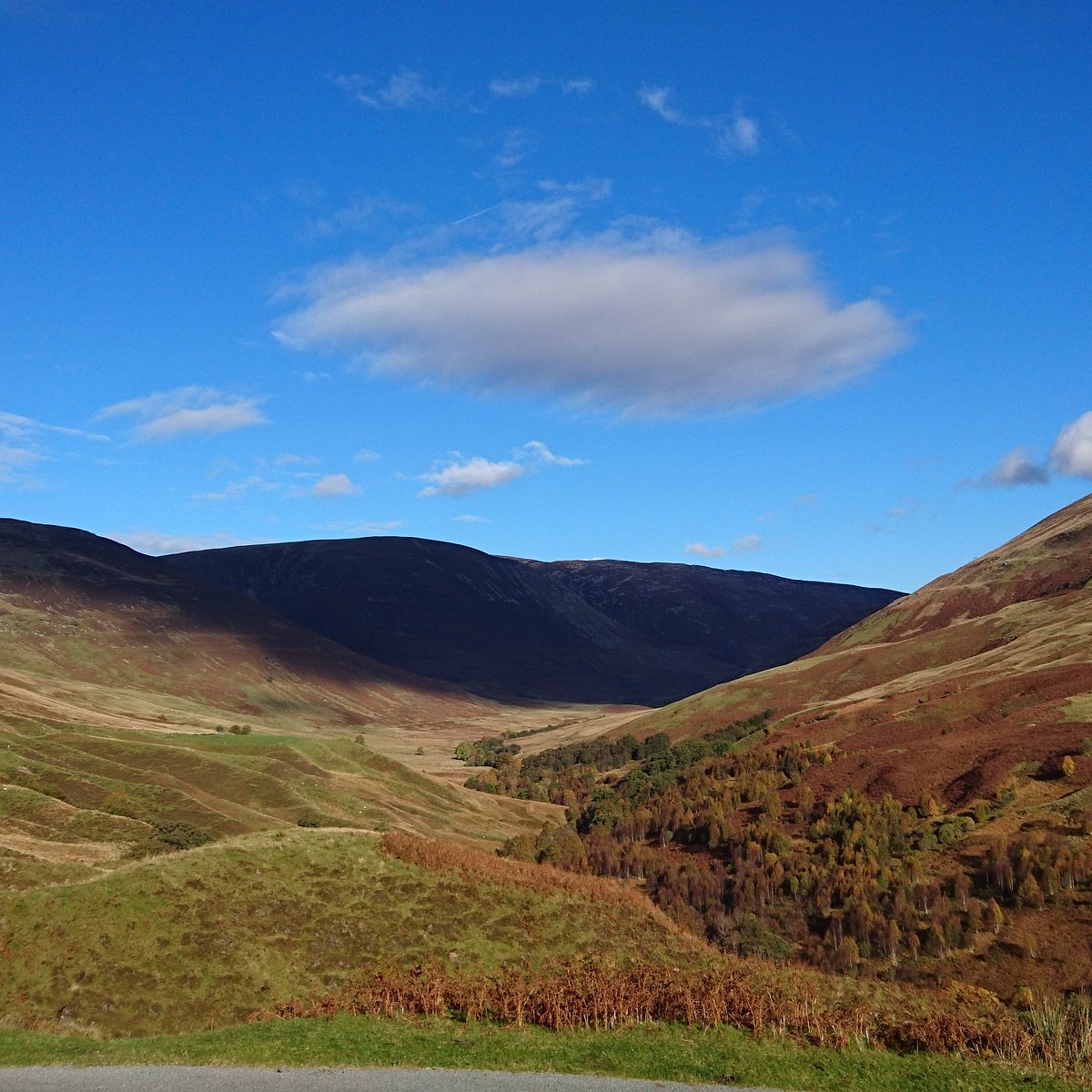 Scotland national nature reserves. Scotland’s National nature Reserves. Scotland's National nature Reserves Table.