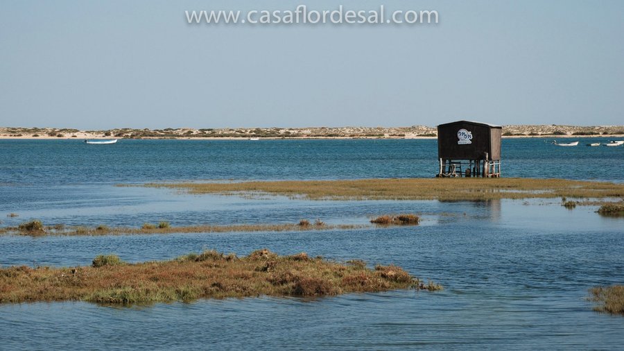 Nearby Ria Formosa lagoon