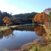 Things To Do in Chausuyama Plateau, Restaurants in Chausuyama Plateau